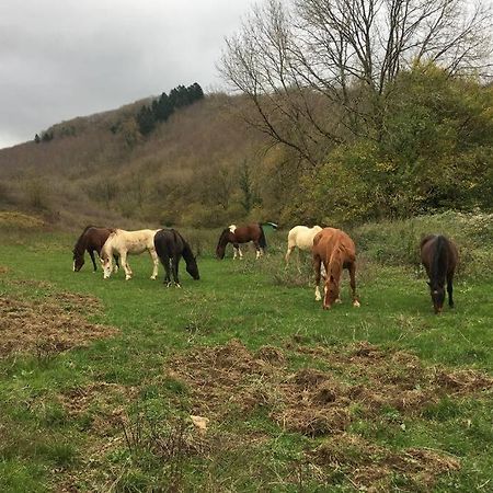 Le Hameau De Sylvanes Esterno foto