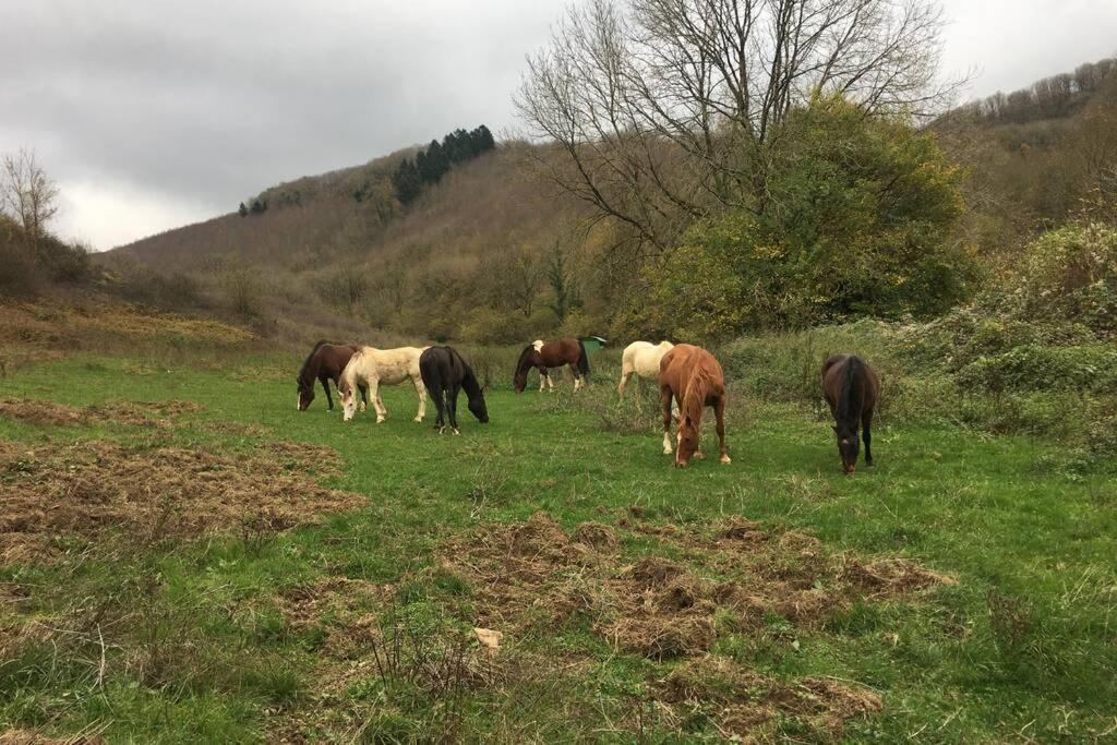Le Hameau De Sylvanes Esterno foto